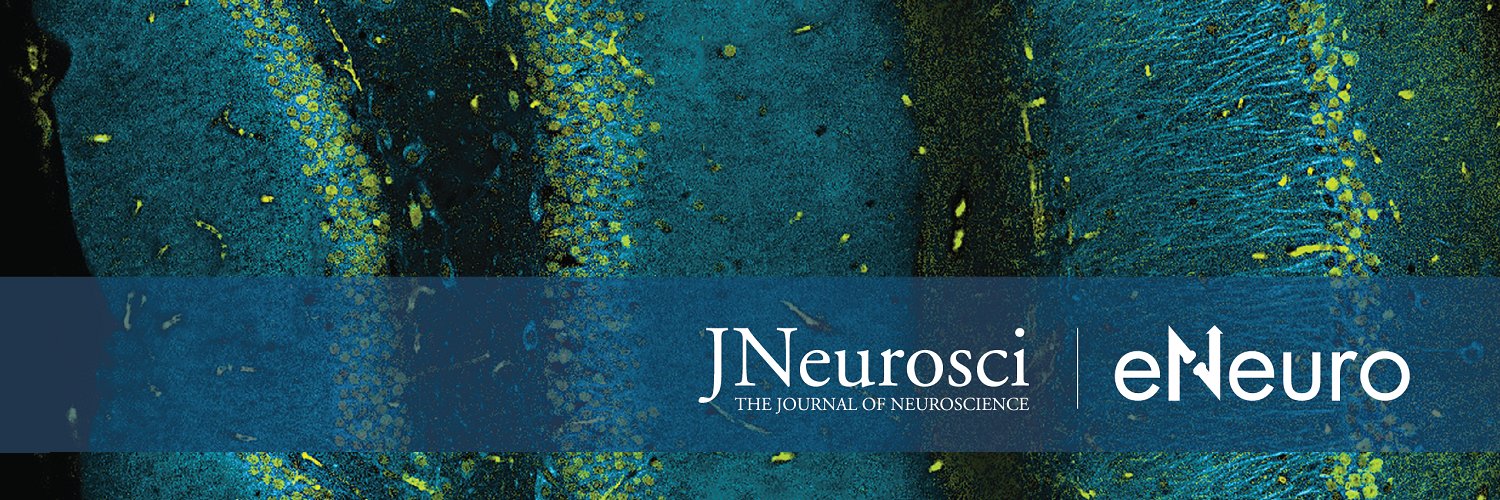 SfN Journals's banner