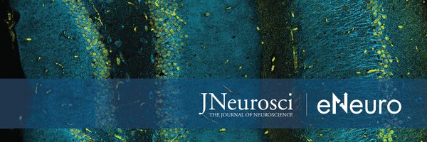 SfNJournals Profile Banner