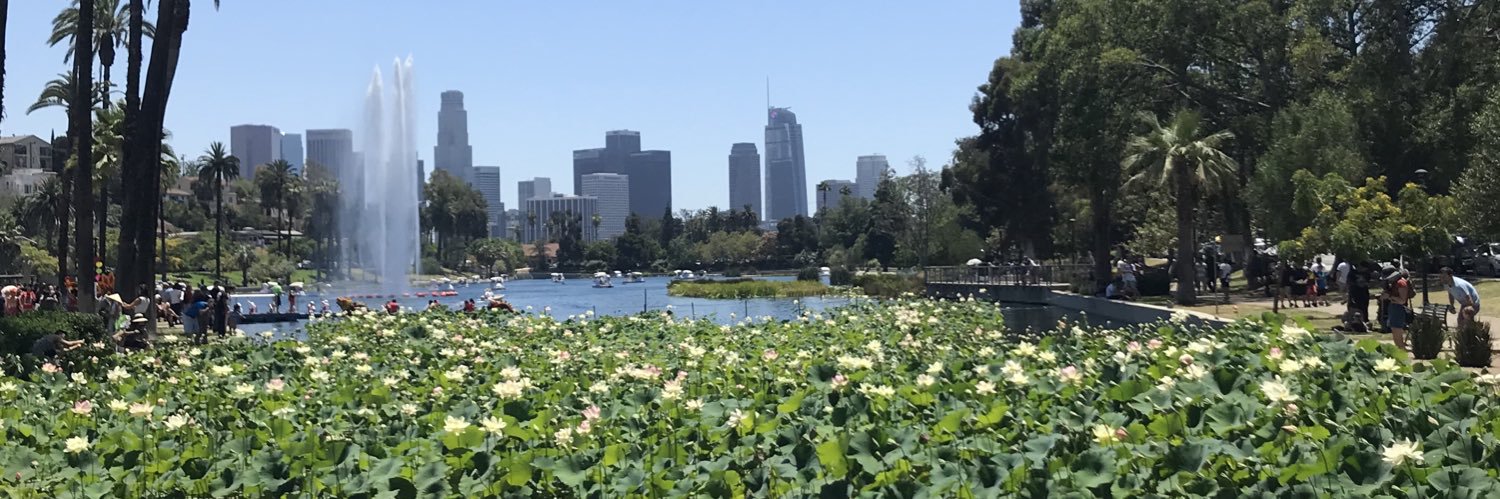 Dr. Celia Munguia banner