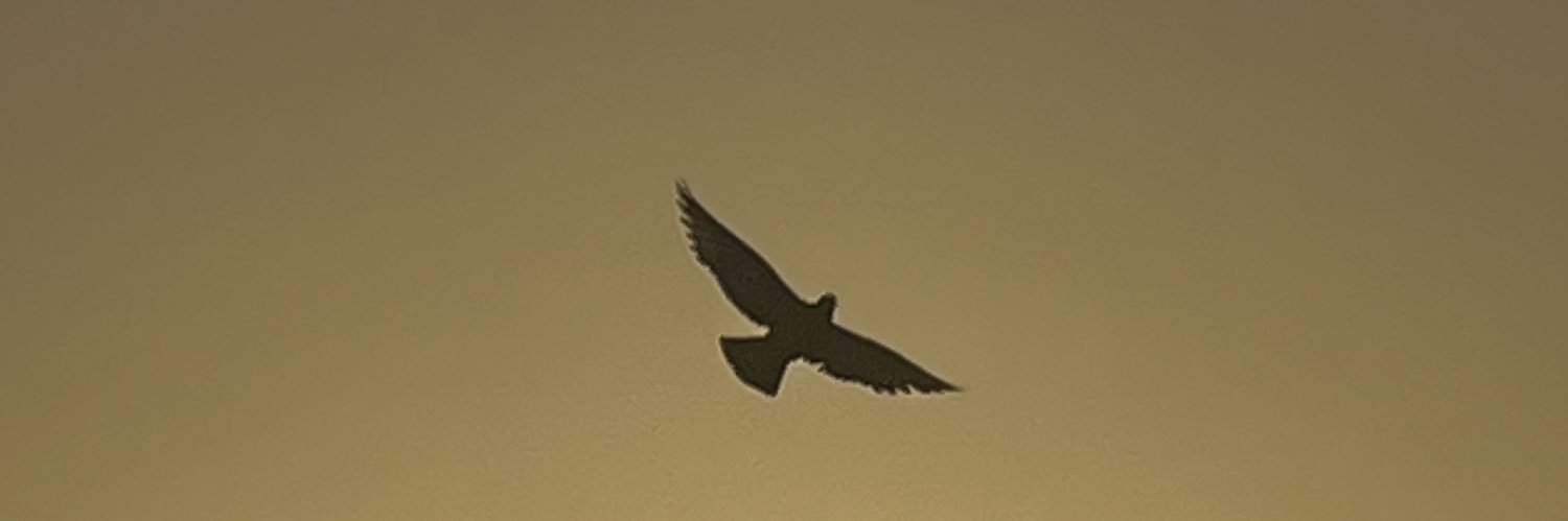 Rodrigo_Vidales's profile banner image