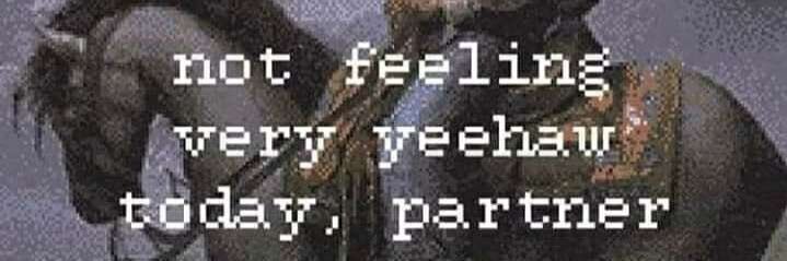 molly's banner