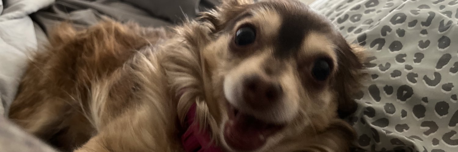 izzyypickell's profile banner image