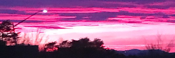 RamoneRoi Profile Banner