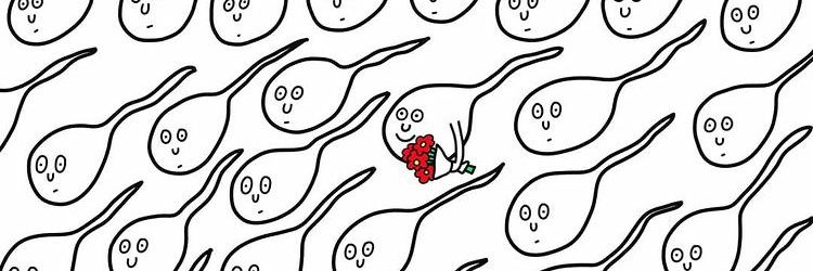 subtlenods's profile banner image