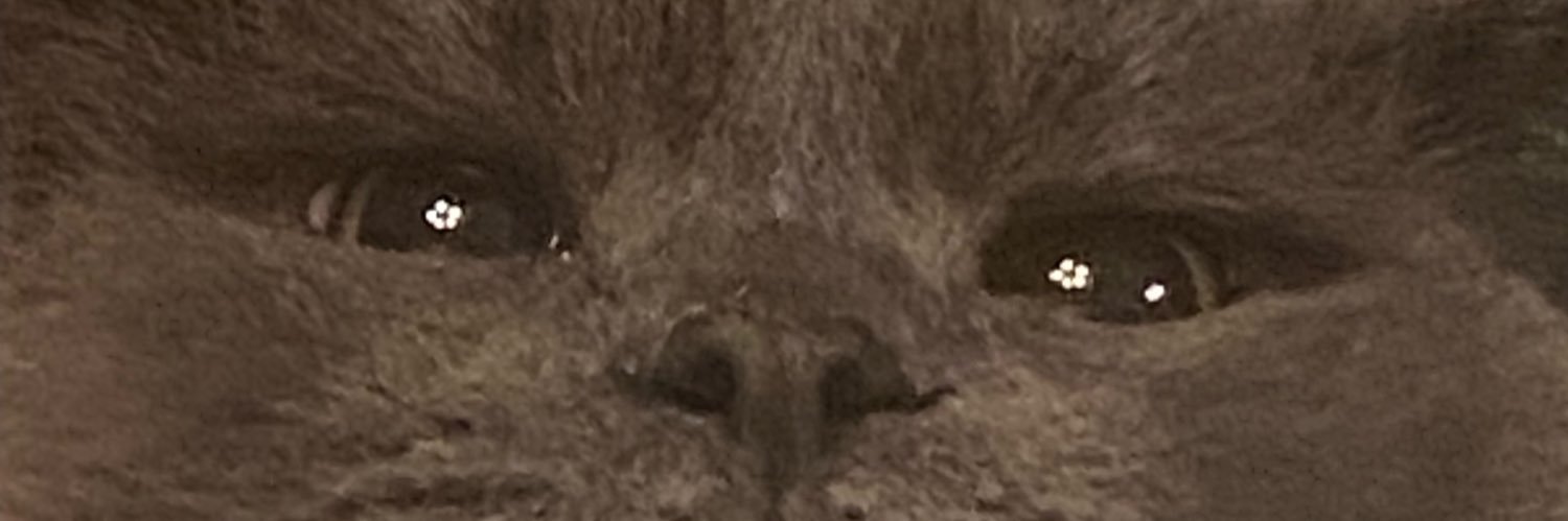 tia banner
