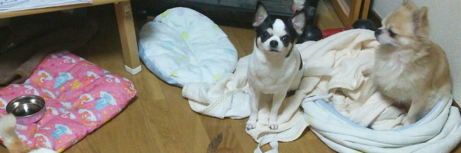 もっちゃん banner
