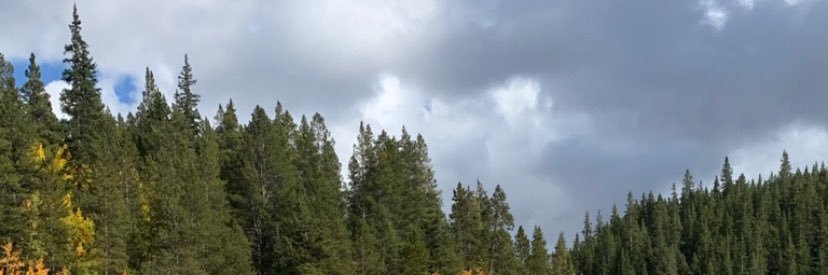dallanmtaylor's profile banner image
