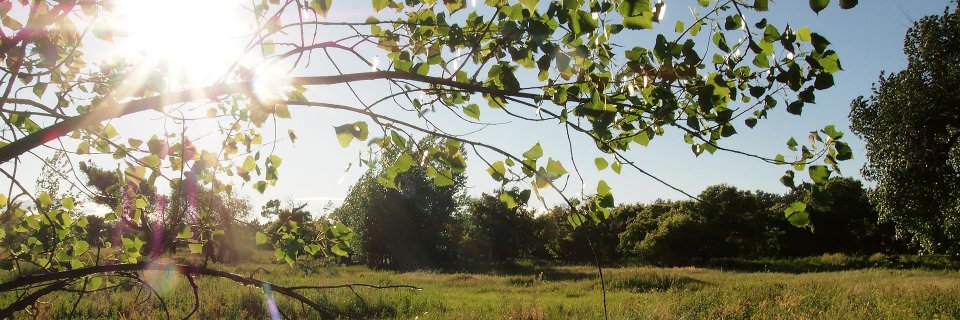 montananmark's profile banner image