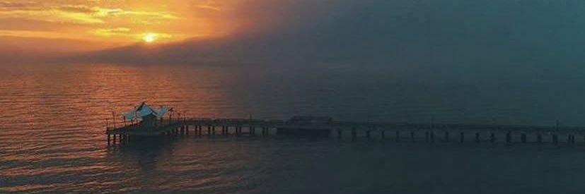 Roseate_5's profile banner image