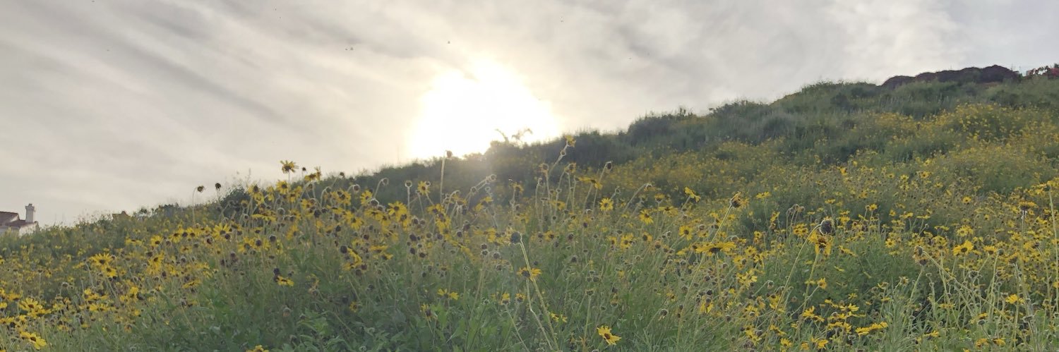 trocaseyjohnson's profile banner image