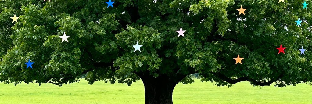 masterlyelmo's profile banner image