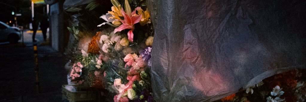 pacooosorio's profile banner image