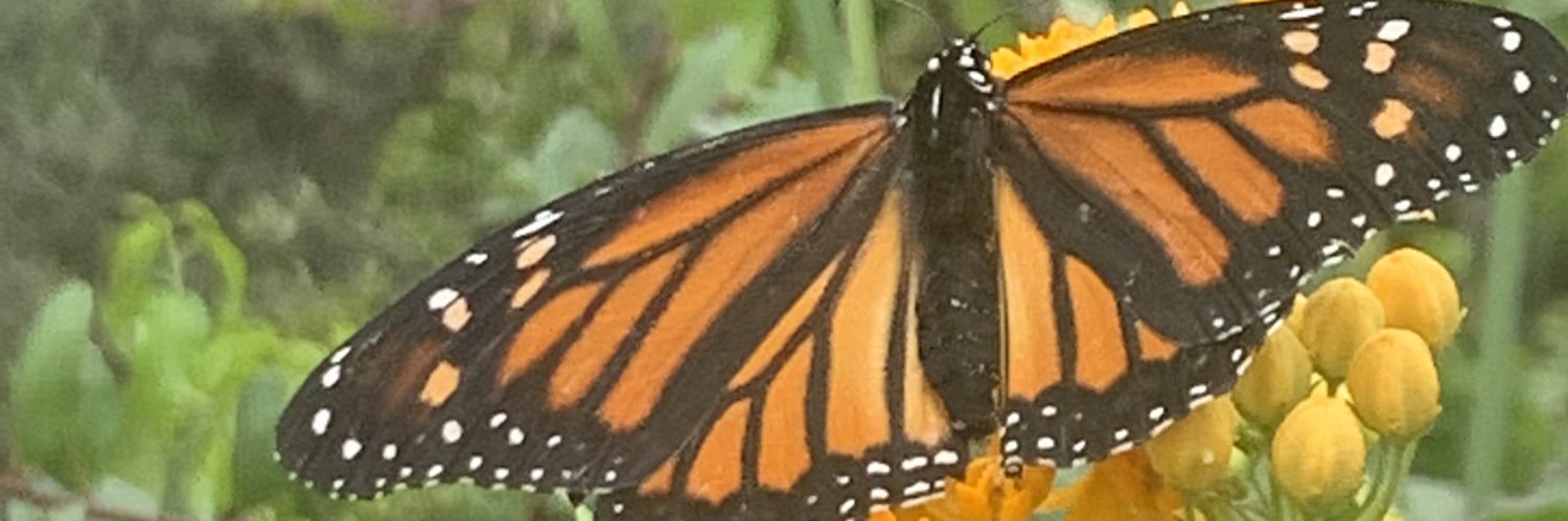 mariahbaughn's profile banner image