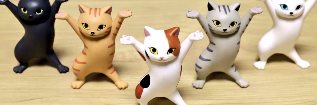 bibub_b's profile banner image