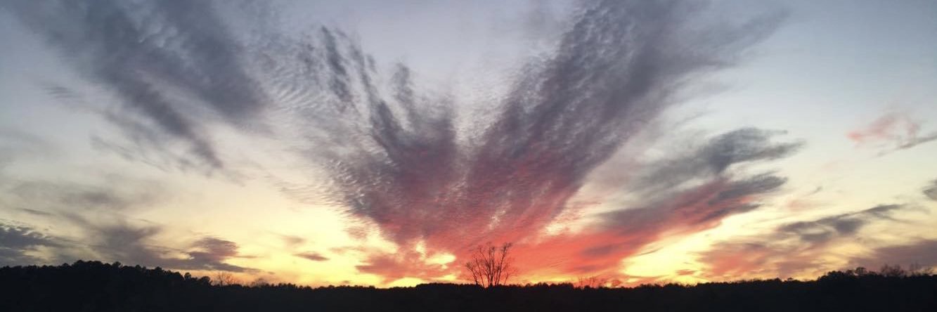 adams_etx's profile banner image