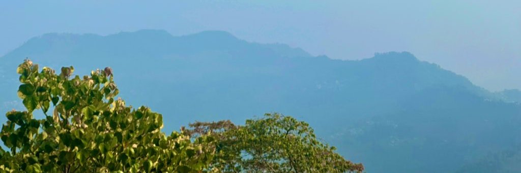 🦉 banner