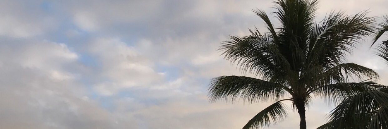 courthermannn's profile banner image