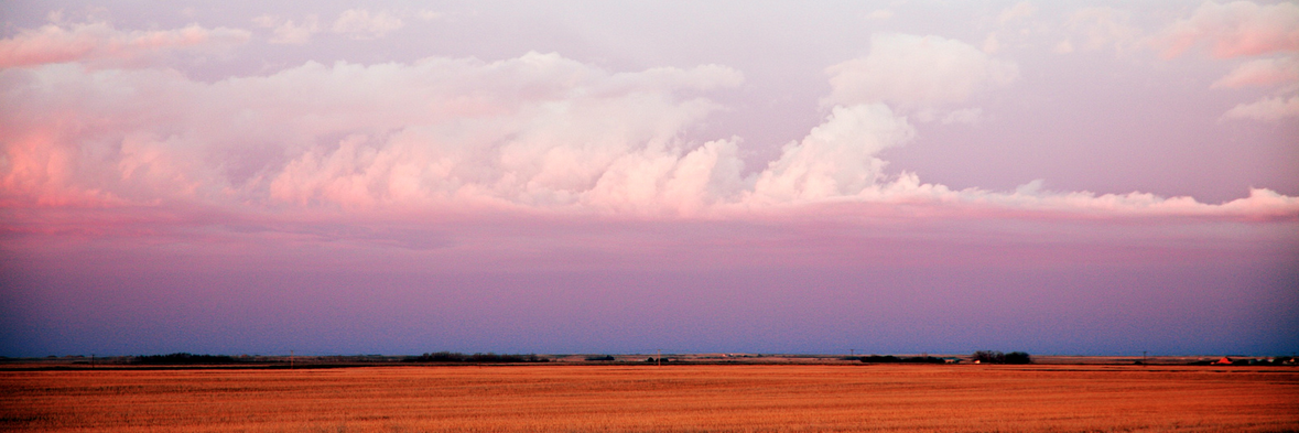 Em_Wilso's profile banner image