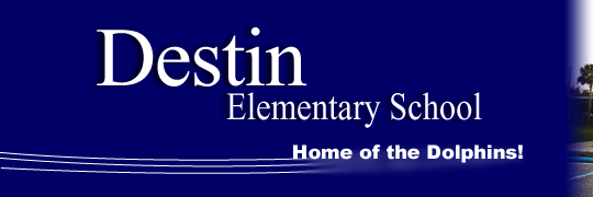 DestinDolphins's profile banner image