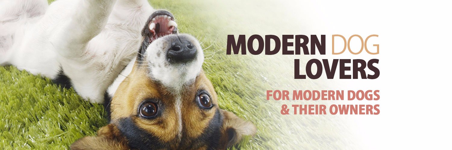 moderndoglovers's profile banner image