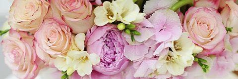albedon33's profile banner image