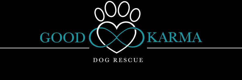 GoodKarmaDogs's profile banner image