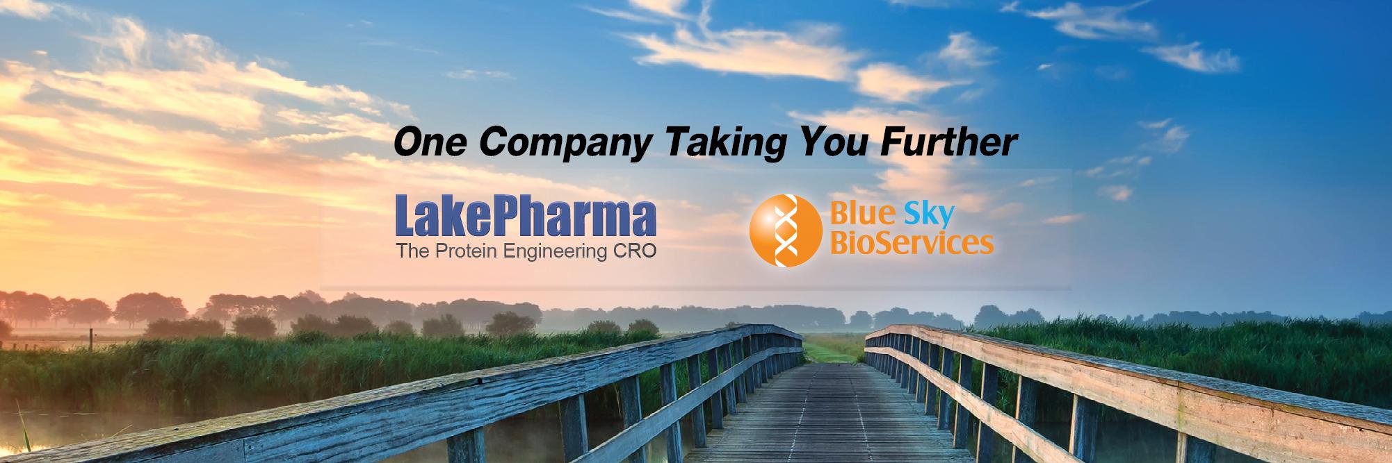 BlueSkyBioServ's profile banner image