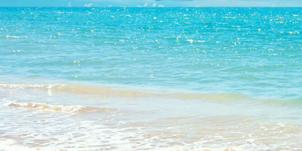 alexa_chase's profile banner image