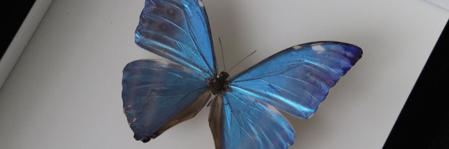 夏子 (Natsuko) banner