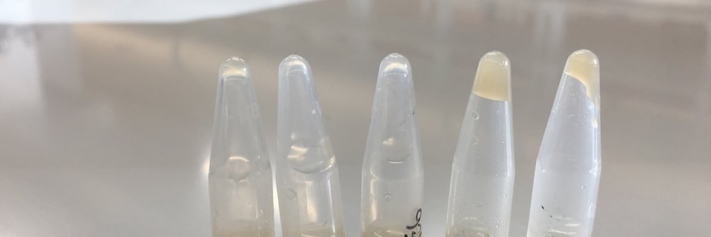 Katherine Joyner banner