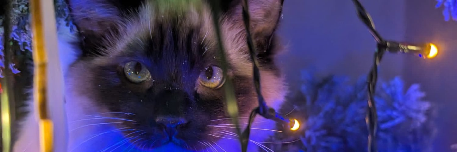 Kryptafy's profile banner image