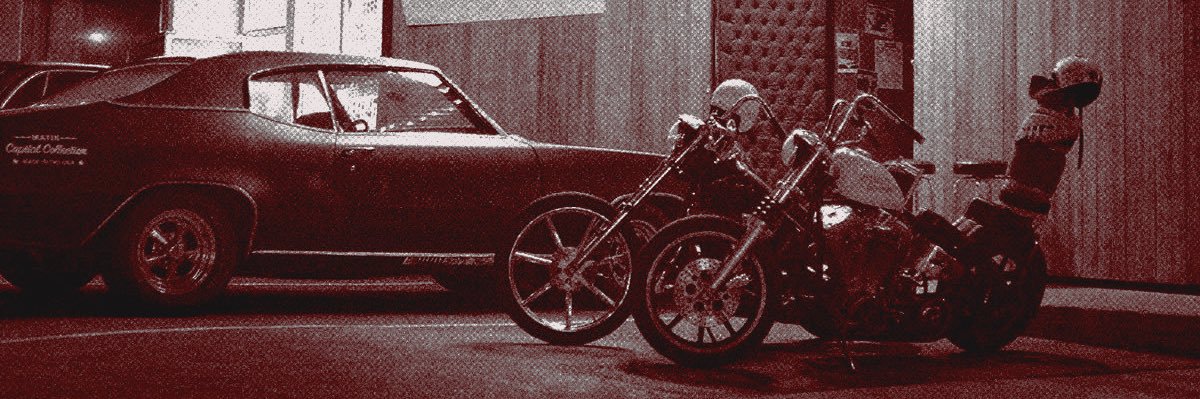 ‍‍ ‍ 𝒘𝐢𝐥𝐝 𝐰𝐨𝐦𝐚𝐧 .ᐟ‍‍ ‍ banner