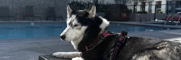 HopeUproar Profile Banner