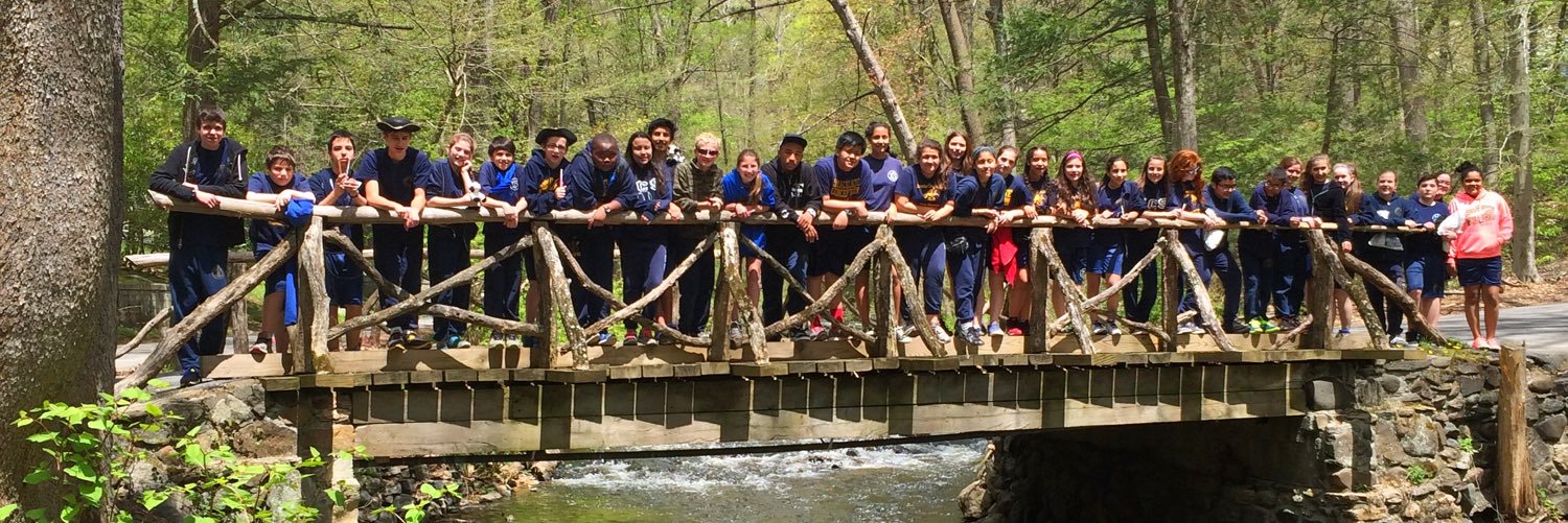 Mrs. D'Angelo banner