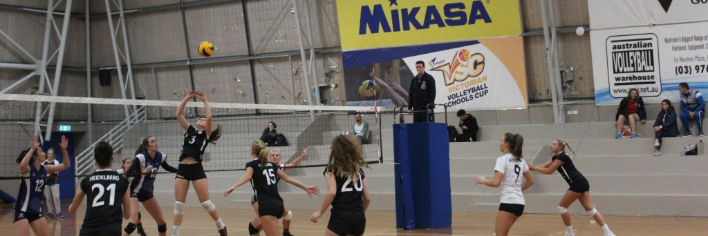 VolleyballVic's profile banner image
