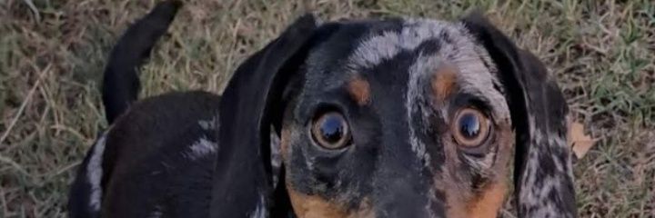 LaraTroche's profile banner image