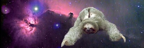 lizziegrif's profile banner image