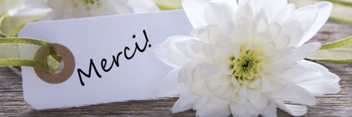 INALTISCONSEIL's profile banner image