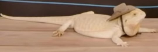 Hummus7's profile banner image
