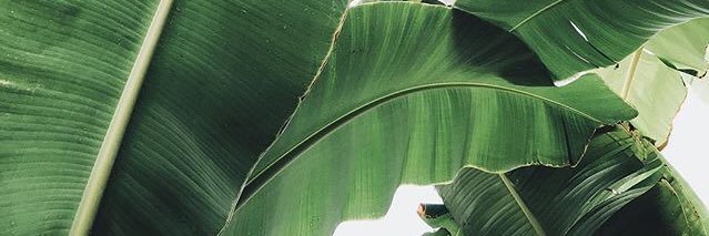 yingmann's profile banner image