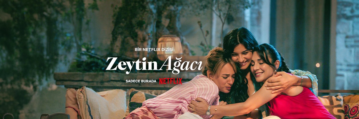 netflixturkiye's profile banner image