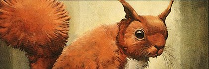 FormOfASquirrel's profile banner image
