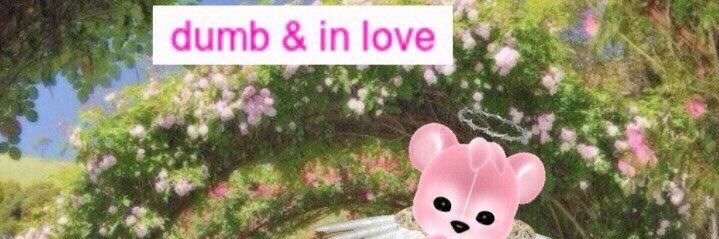 cattable's profile banner image