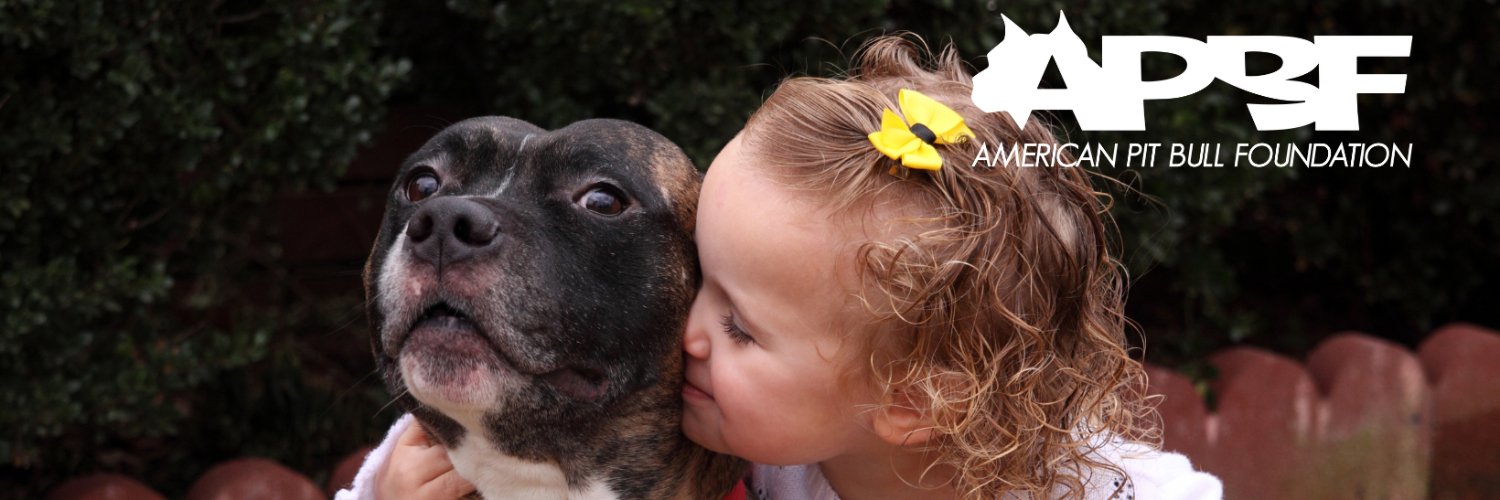 American Pit Bull Foundation banner