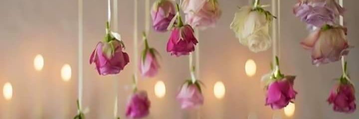 basmashawaly's profile banner image