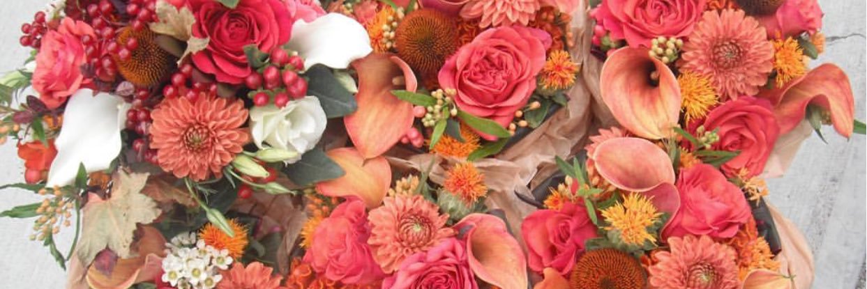 Peaseblossoms's profile banner image