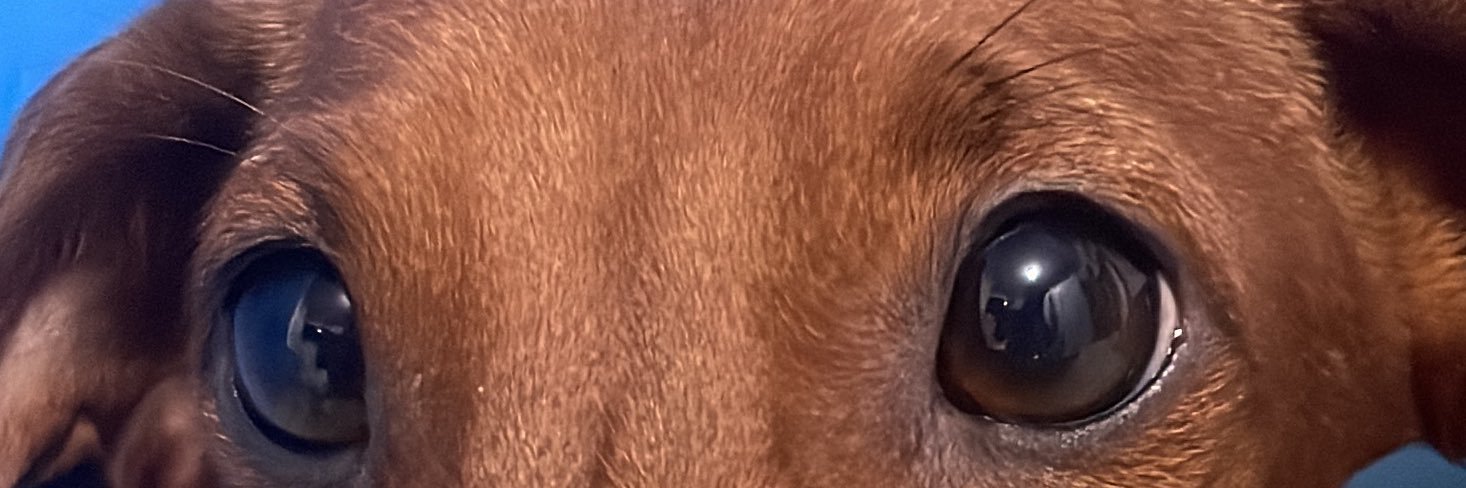 DrewDri's profile banner image