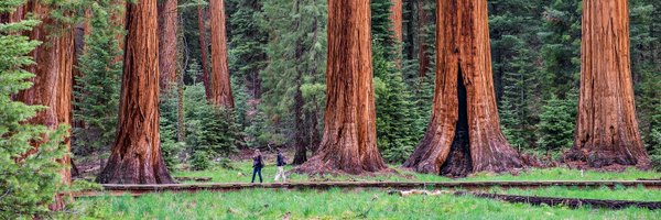 skateboarddean Profile Banner