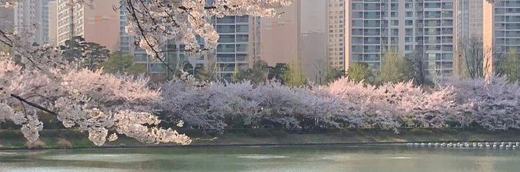 nvtworks's profile banner image