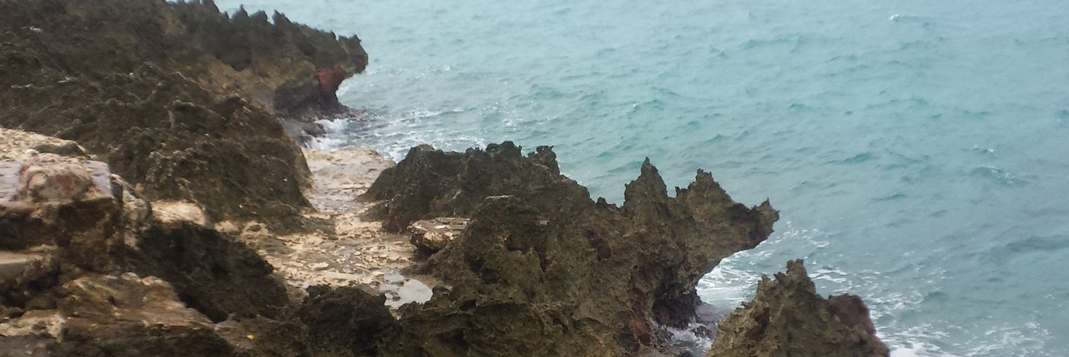 lencubilla's profile banner image